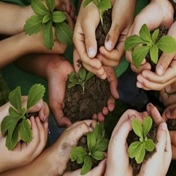 همیار طبیعت**14,218** نفر