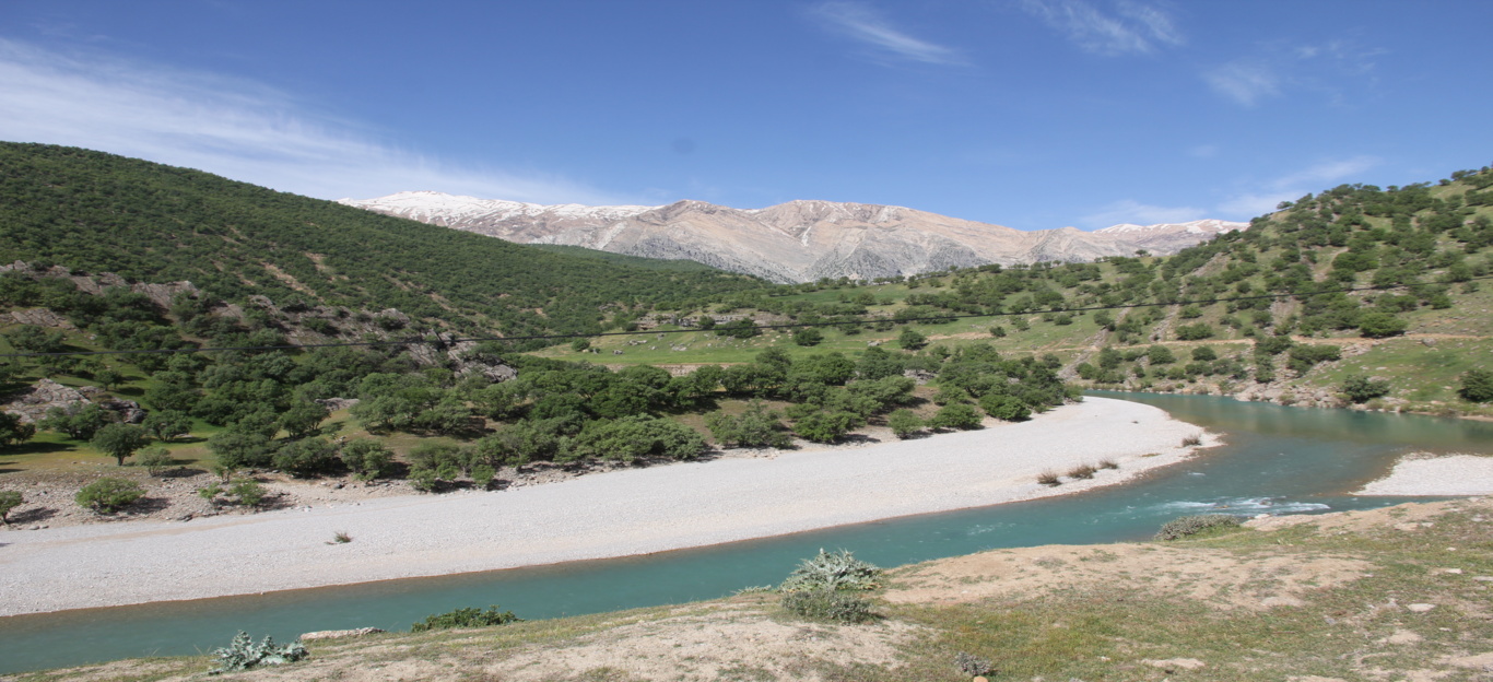 جنگل های استان