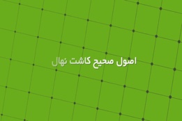 گزارش های خبری