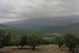 گالری عکس