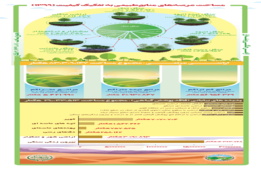 اینفوگرافیک