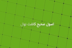 اصول صحیح کاشت نهال