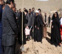 برگزاری پویش ملی درختکاری "سرو ایران"