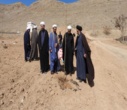 برگزاری پویش ملی درختکاری "سرو ایران"