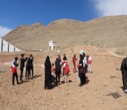 برگزاری پویش ملی درختکاری "سرو ایران"