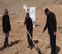برگزاری پویش ملی درختکاری "سرو ایران"
