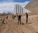 برگزاری پویش ملی درختکاری "سرو ایران"