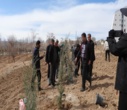 برگزاری پویش ملی درختکاری "سرو ایران"