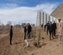 برگزاری پویش ملی درختکاری "سرو ایران"