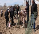 برگزاری پویش ملی درختکاری "سرو ایران"