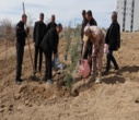برگزاری پویش ملی درختکاری "سرو ایران"