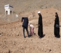برگزاری پویش ملی درختکاری "سرو ایران"