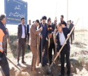 پویش سرو ایران در بروجن