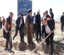 پویش سرو ایران در بروجن