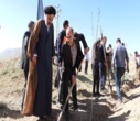 پویش سرو ایران در بروجن