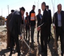 پویش سرو ایران در بروجن