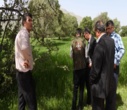 مبارزه و محلول پاشی آفت جوانه خوار جنگل های بلوط شهرستان خانمیرزا و لردگان