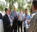 مبارزه و محلول پاشی آفت جوانه خوار جنگل های بلوط شهرستان خانمیرزا و لردگان
