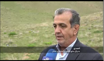 ممنوعیت چرای دام در مراتع چهارمحال و بختیاری