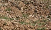 چاله هایی که یک روستا را از خطر سیلاب نجات دادند ...