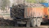 کشف بیش از ۷۳ هزار کیلوگرم چوب و زغال قاچاق