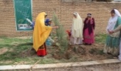مراسم زنگ طبیعت در مدرسه سپیده شهرکرد برگزار شد