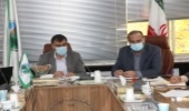 امسال زراعت چوب در 550 هکتار از اراضی چهارمحال و بختیاری انجام می شود