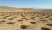 شروع عملیات اجرایی پروژه های آبخیزداری شهرستان لردگان در سال ۹۸