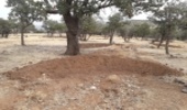 اعلام رتبه بندي شهرستان ها در برنامه ۹در۹۹