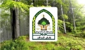 تخلفات حوزه منابع طبیعی را با سامانه 139 اطلاع دهید