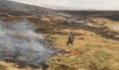 مهار آتش سوزی در گندمان
