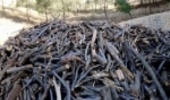 کشف نزدیک به 70 تُن چوب و ذغال قاچاق از ابتدای سال