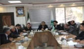 تلفیق جنگلکاری اقتصادی با کشت گیاهان دارویی راهی برای افزایش درآمد و احیای عرصه های طبیعی