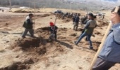 طرح «بسیج همگانی نهالکاری» در کشور کلید خورد/ غرس 70 هزار اصله نهال در استان