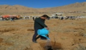 سه هزار اصله نهال در شهرستان شهرکرد در دل خاک جا گرفت