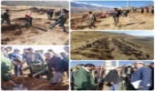 تقدیر مدیرکل منابع طبیعی چهارمحال و بختیاری از مشارکت مردم و مسئولین در اجرای طرح نهالکاری 
