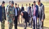 کاشت 4 هزار اصله نهال در بلداجی