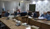 امسال سند تگ برگ ۲۵۰ هزار هکتار اراضی ملی چهارمحال و بختیاری صادر شد
