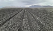 عملیات احیای ۱۹۵ هکتار از دشت آلونی شهرستان خانمیرزا انجام شد