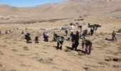 طرح ملی جنگلانه در فرخشهر اجرا شد