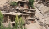 پایان قطع درختان بلوط در نبود گاز در روستای صالح کوتاه کوهرنگ