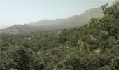 توسعه مشارکت مردمی در طرحهای مرتعداری و جنگکاری مهمترین برنامه است.