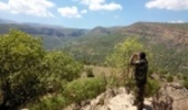 حفاظت از جنگل در دستان بیحفاظ جنگلبانان