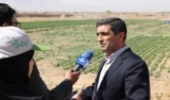 فرونشست زمین آخرین واکنش طبیعت به رفتارهای نادرست انسان و بهره برداری های بی رویه از منابع زیرزمینی
