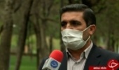 دو هزار و 200 هکتار جنگل کاری اقتصادی در چهارمحال و بختیاری انجام می شود
