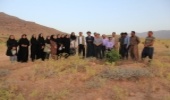 پدیده بیابان‌زایی چهارمحال و بختیاری را تهدید می‌کند/تنها راه مقابله ایجاد پوشش گیاهی است