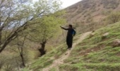 فاز اول مبارزه بیولوژیکی با آفت جوانه‌خوار در جنگل‌های بلوط چهارمحال و بختیاری  پایان یافت