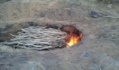 دستگیری متخلف احداث کوره غیرمجاز زغال 