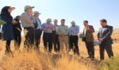 بازدید از حوضه الگویی مدیریت جامع آبخیز و پروژه های صندوق توسعه ملی در شهرستان بروجن