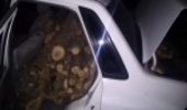توقیف خودروی حامل چوب جنگلی غیرمجاز